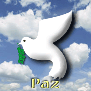 CÁTEDRA DE PAZ 6-3